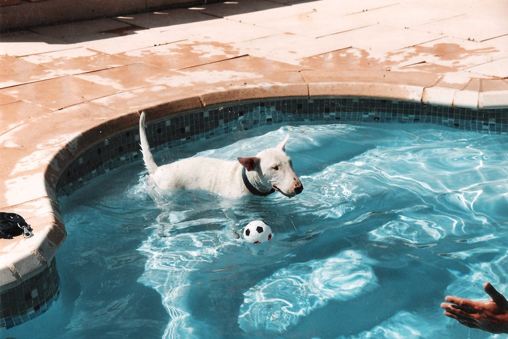 Travail en piscine