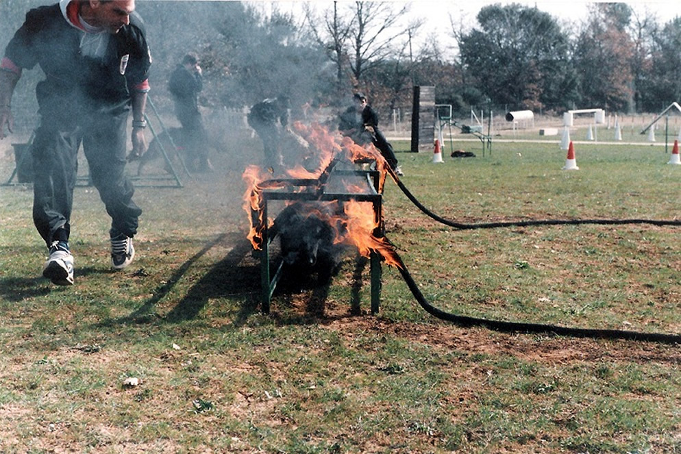 Maître chien pompier